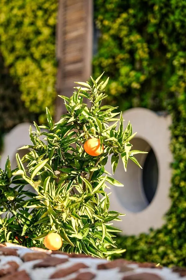 Kocadon Museum Hotel Bodrum
